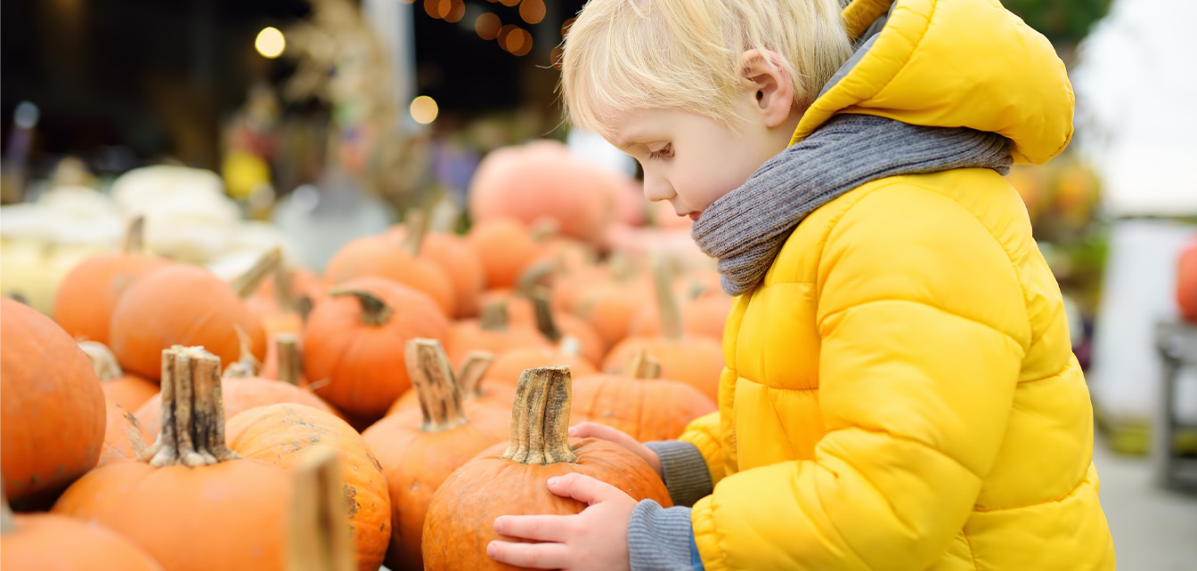 Child gently picking out a pumpkin at a store