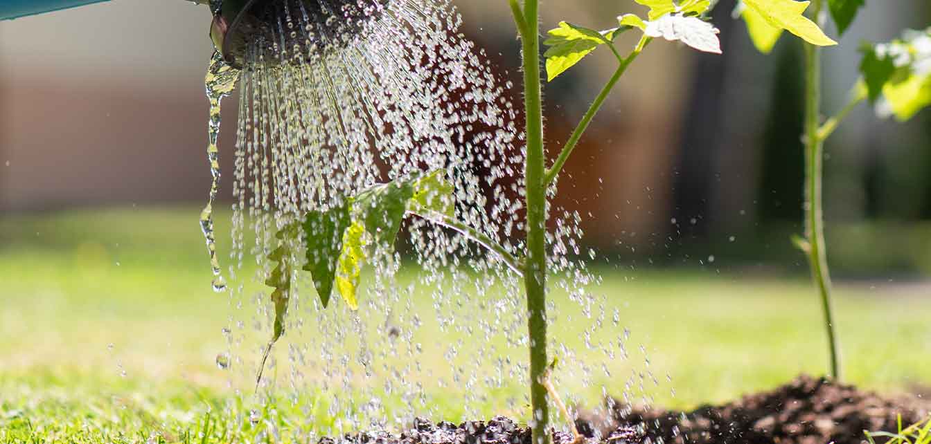 Watering home garden